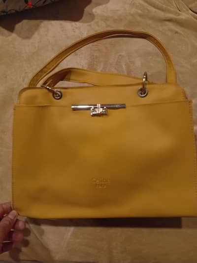 Dark yellow purse