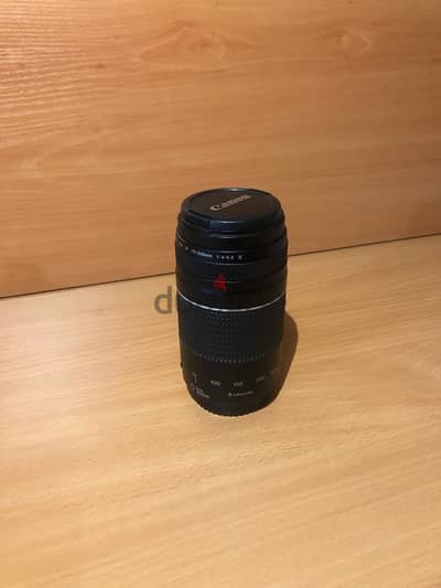 Canon EF 75-300mm Lens (Like New)