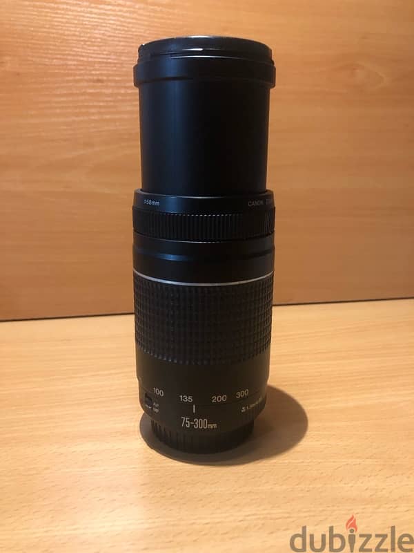 Canon EF 75-300mm Lens (Like New) 1