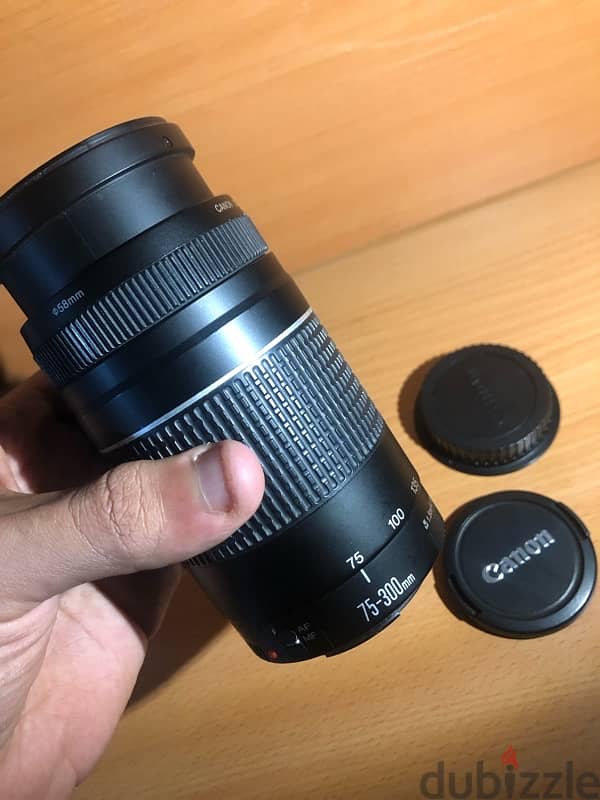 Canon EF 75-300mm Lens (Like New) 5