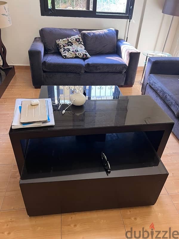 living room with tv unit center table and carpet 2