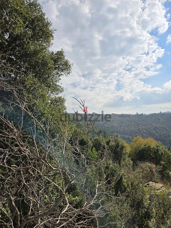 Ghosta Land for Sale, very high zoning ratio 0