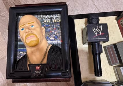 WWE & WWF action figures (25)