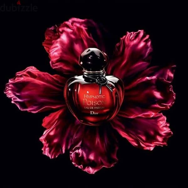 Attractive Perfumes 19