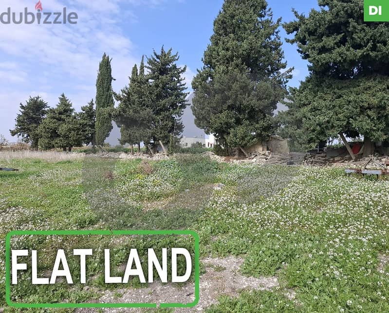 Land in Ain El Mir - Jezzine /  عين المير /  صيدا - جزين REF#DI116468 0