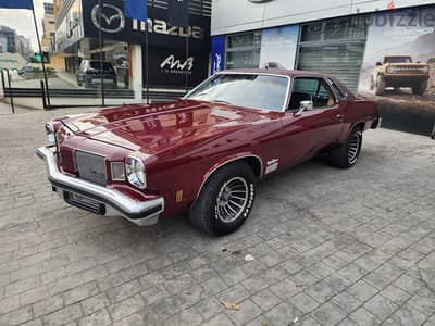 Buick Other 1973