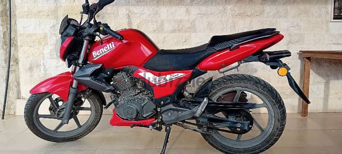 benelli like new  750$