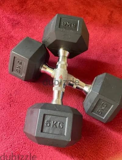 2 Dumbells (5kg)