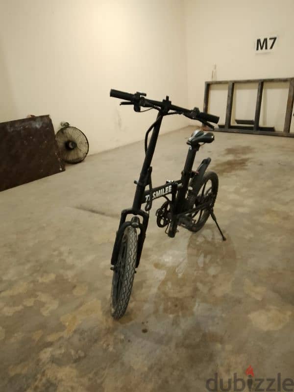 e-bike 1