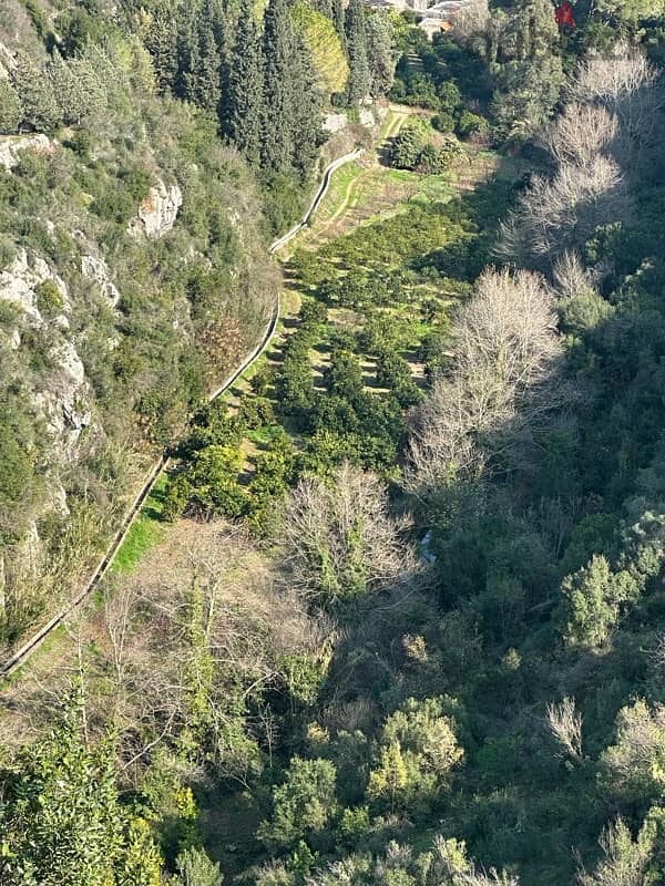 batroun boksmaya land near river بترون بقصمايا جنب النهر 3