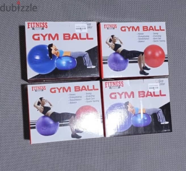 Gym Ball 1