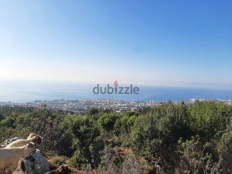 For Sale-Land in the Heart of Batroun with Stunning Views 0