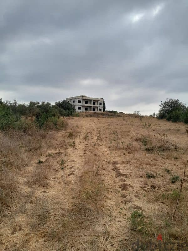 land for sale in hmayra akkar أرض للبيع في الحميرة عكار 0