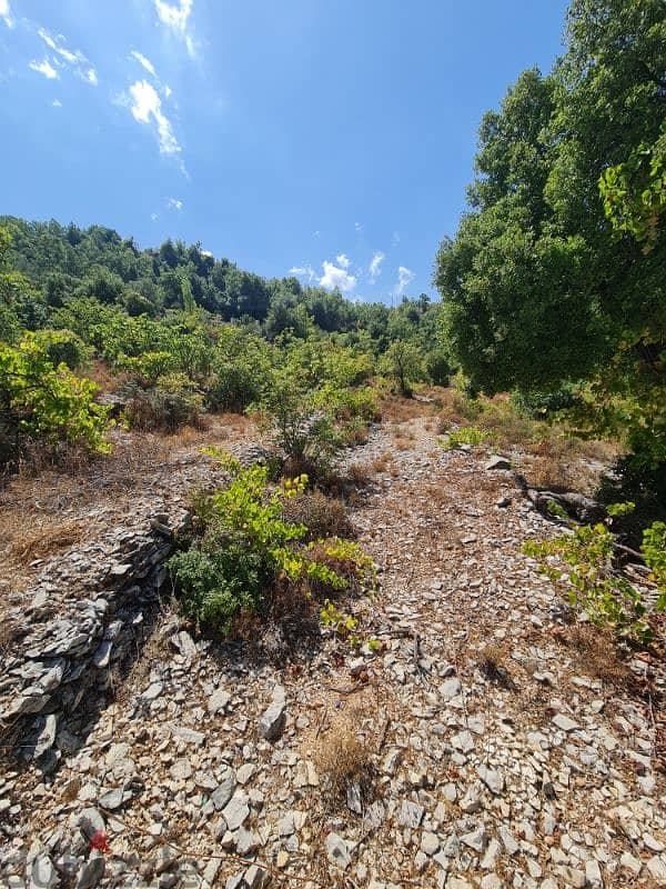 Land for sale in Lehfed - Jbeil - أرض للبيع في لحفد - جبيل 3