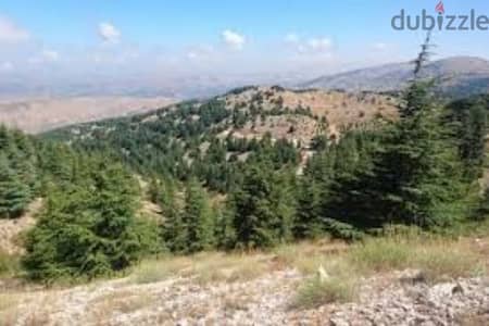 Prime Land in Chanay - 850 sqm, Open View