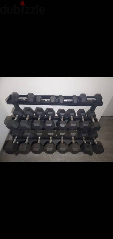 Complete Hex Dumbbell Set with 3-Level Rack (Excellent Condition)