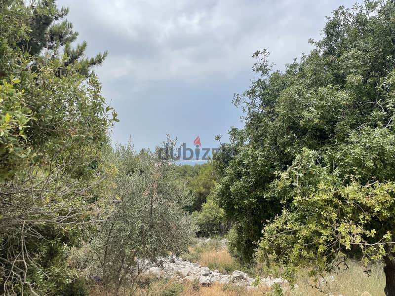 RWK327JA - Land For Sale In Chnaneir - أرض للبيع في شننعير 2