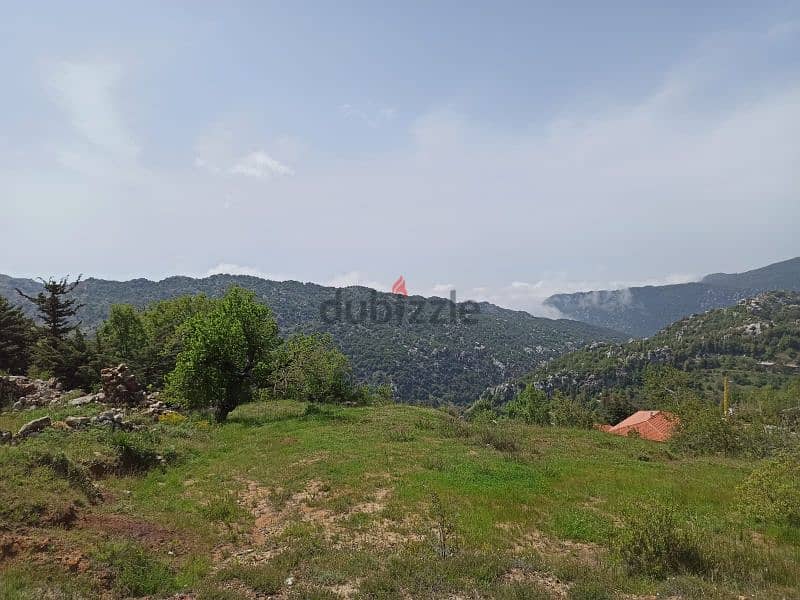 land for sale in mayrouba أرض للبيع في ميروبا 0