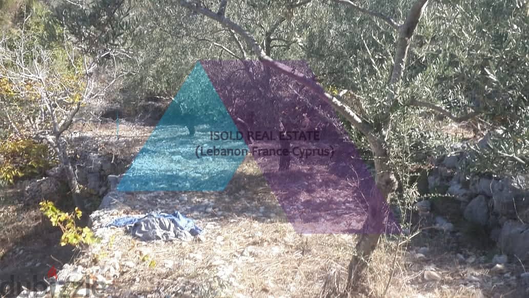 Land +Mountain view for sale in Jbeil-Bejje | أرض للبيع في جبيل 1