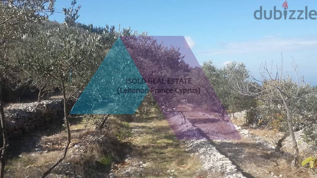 Land +Mountain view for sale in Jbeil-Bejje | أرض للبيع في جبيل 2