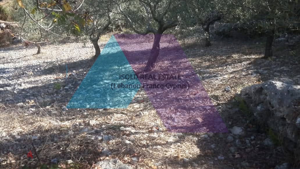 Land +Mountain view for sale in Jbeil-Bejje | أرض للبيع في جبيل 3