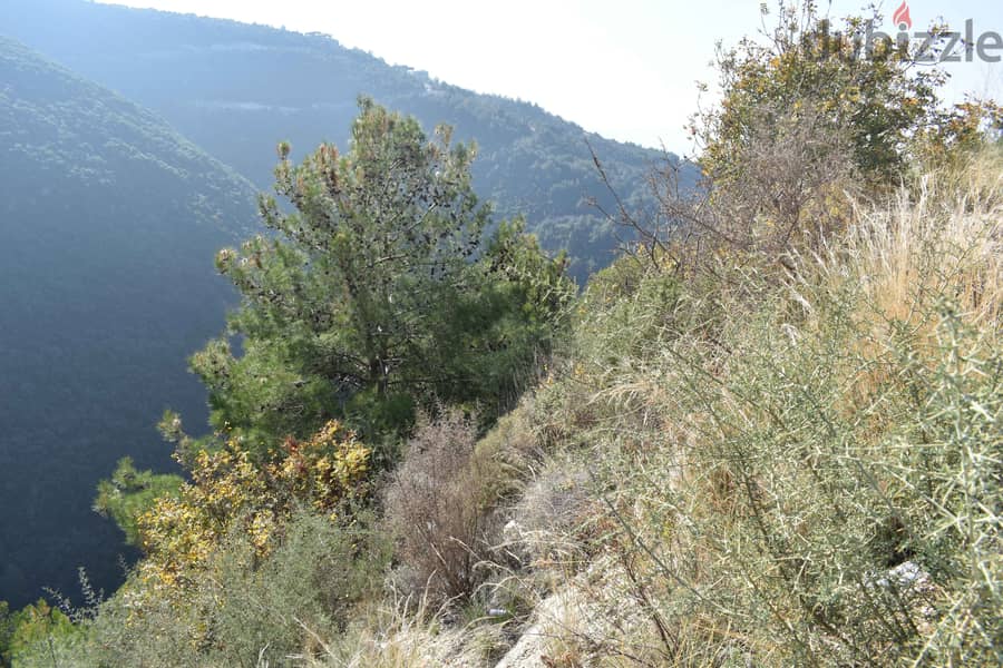 RWB108ZB - Land for sale in Mastita Jbeil 2