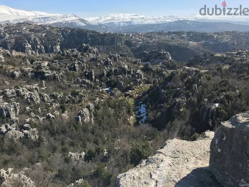 1135 Sqm | Land for sale in Faitroun | Mountain view 2