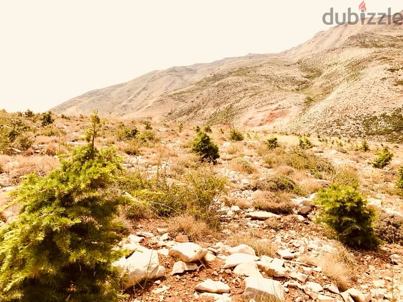 LAND in Kfardebian/Faqra with PANORAMIC View أرض في كفردبيان ١٢٥٠ م٢ 10