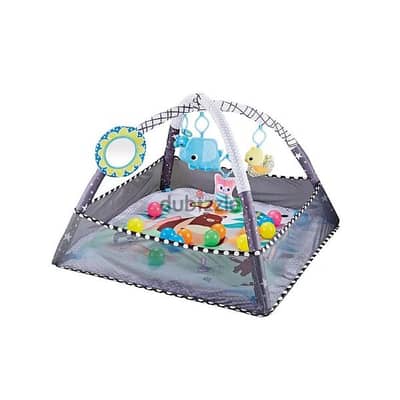 2 In 1 Play Mats Infants Activity Gym