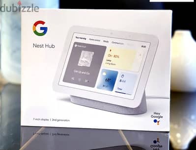 Google nest hub2