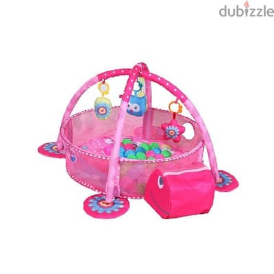 Turtle Baby Activity Gym With Ball Pit