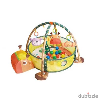 Turtle Baby Activity Gym With Ball Pit