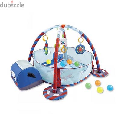 Turtle Baby Activity Gym With Ball Pit