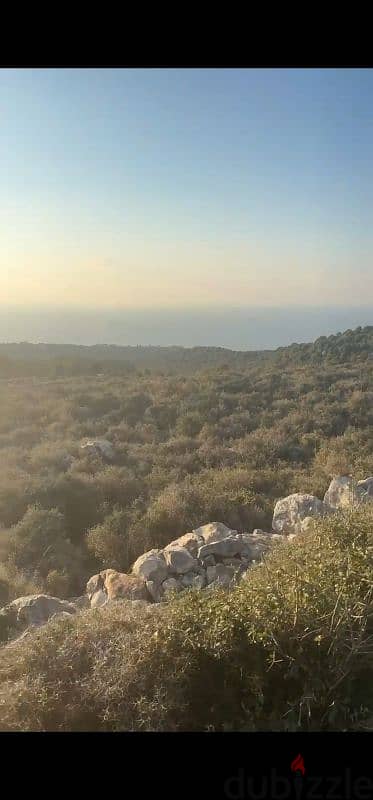 land for sale in gharzouz jbeil أرض للبيع في غرزوز جبيل 1