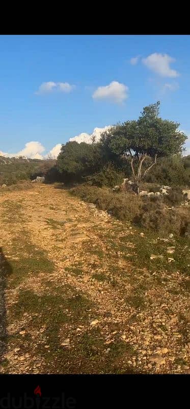 land for sale in gharzouz jbeil أرض للبيع في غرزوز جبيل 2