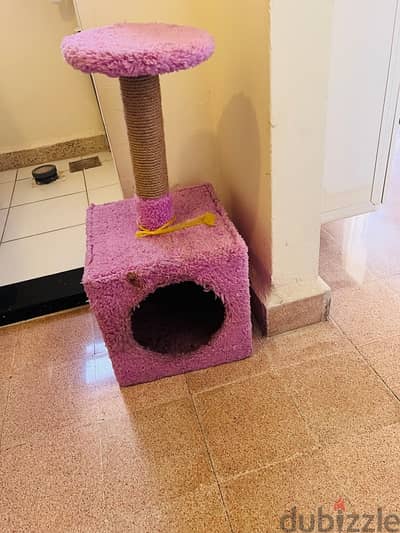 cat toy 71612113