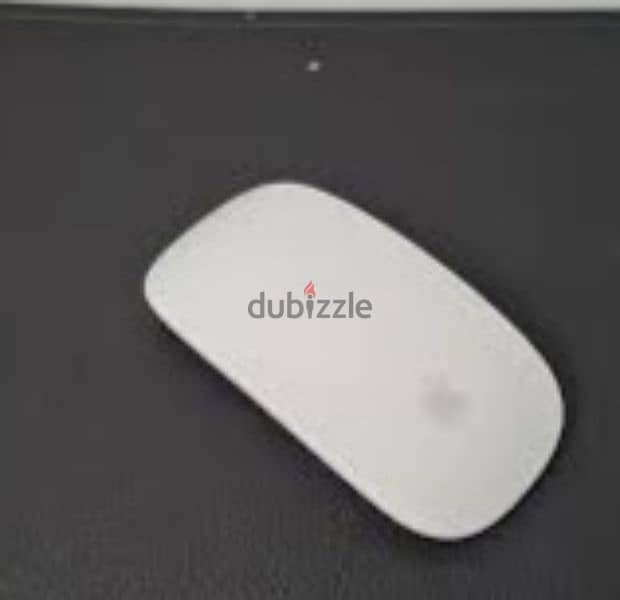 Apple Magic mouse 2 used 1