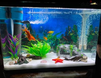 Aquarium For Sale