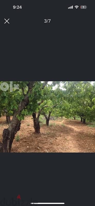 Agriculture land Ain Dara for Sale