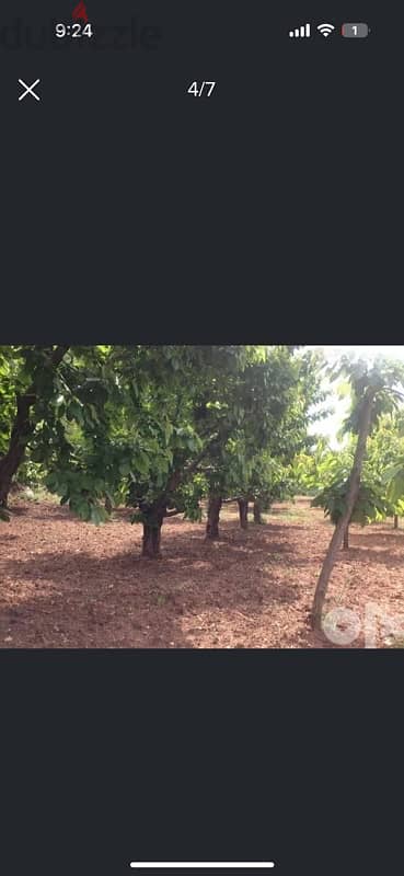 Agriculture land Ain Dara for Sale 1