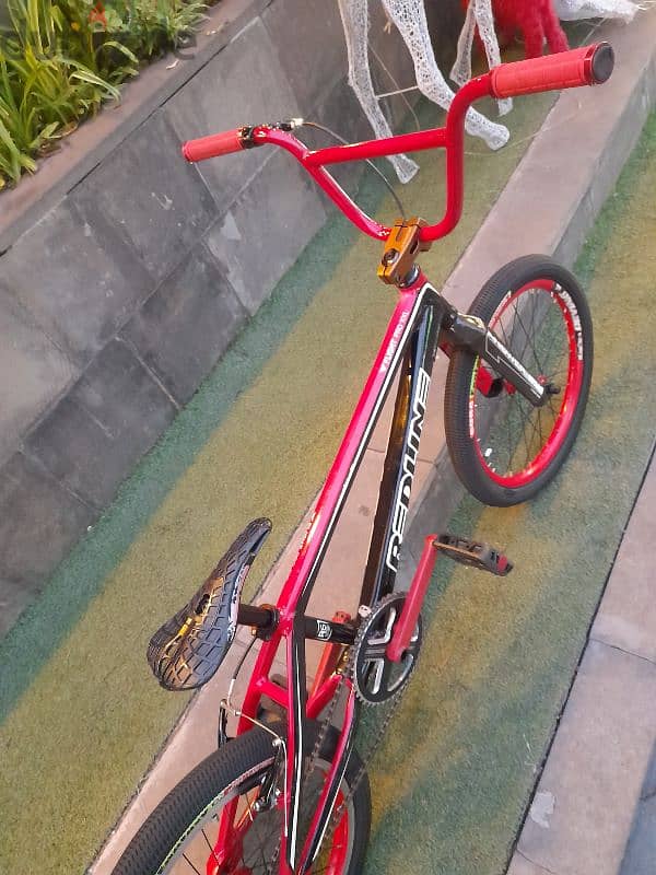 cety bike 15