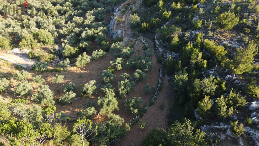 Chouf عقار رائع منطقة فلل صك اخضر طريق رئيسي زيتون مثمر 4