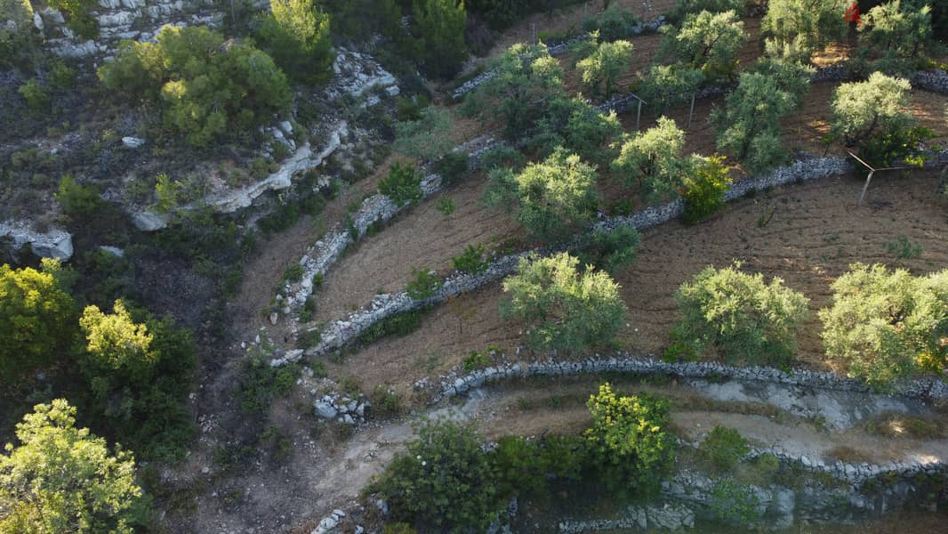 Chouf عقار رائع منطقة فلل صك اخضر طريق رئيسي زيتون مثمر 5