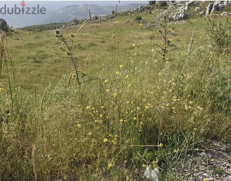 3875m2 Land in Bejjeh,Jbeil عقار للبيع في بجه،جبيل 0