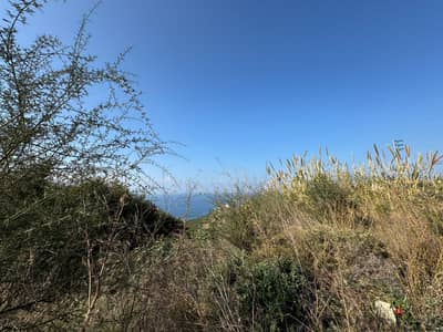 Land + Mountain / Sea View for sale in Halat - أرض للبيع في حالات