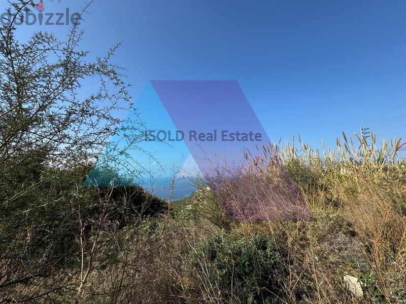 Land + Mountain / Sea View for sale in Halat - أرض للبيع في حالات 2