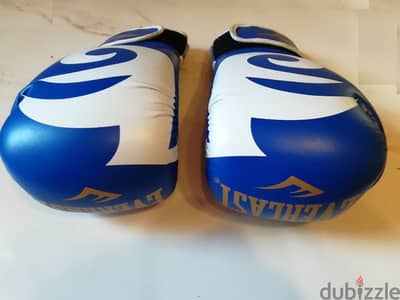 Boxing Everlast gloves made in Pakistan