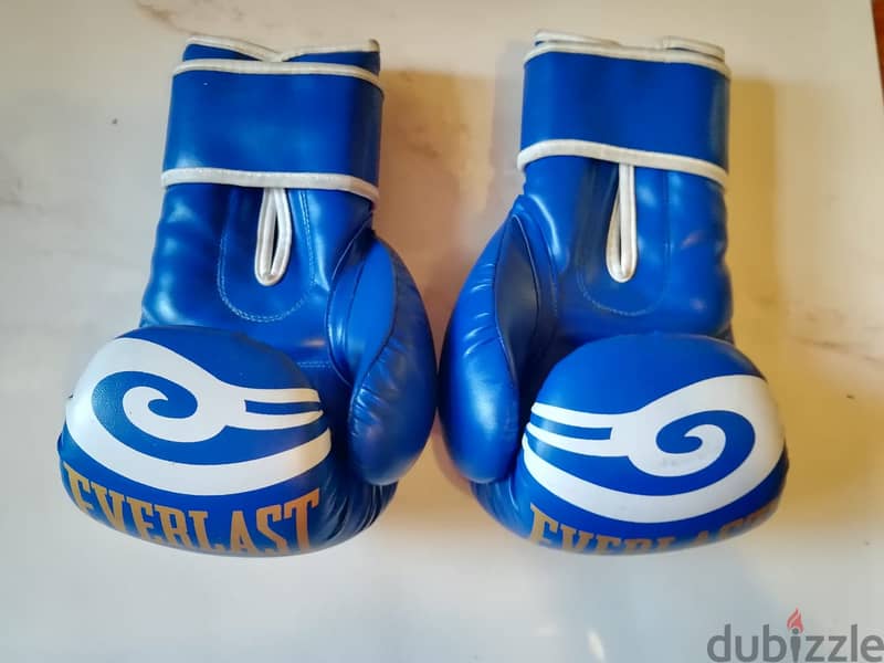 Boxing Everlast gloves made in Pakistan 1