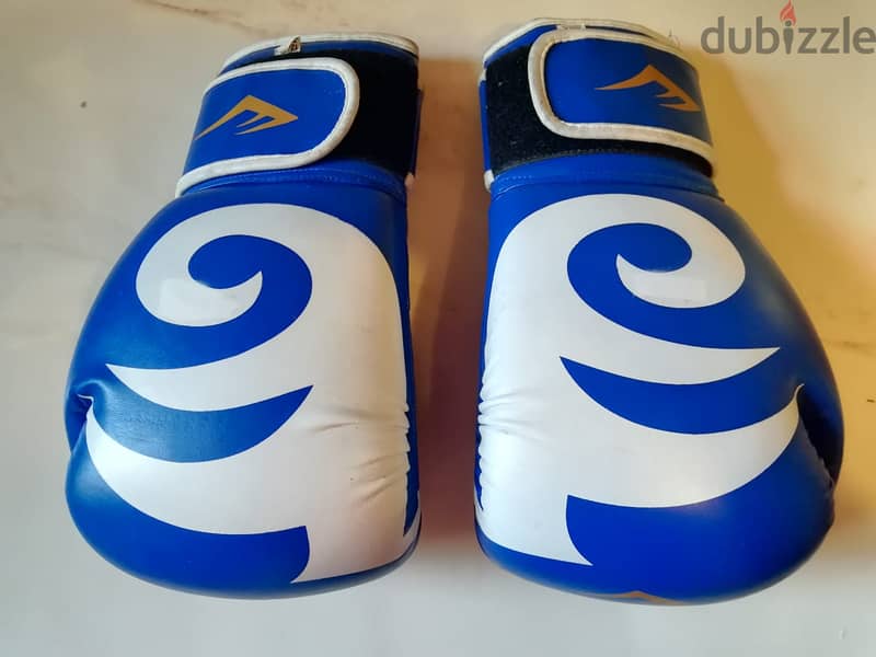 Boxing Everlast gloves made in Pakistan 2