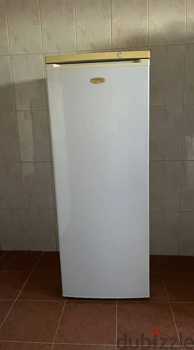 Upright Freezer - General Brand